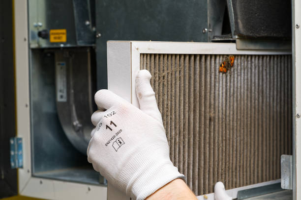 Best Affordable Duct Cleaning Services  in Liberty, IN