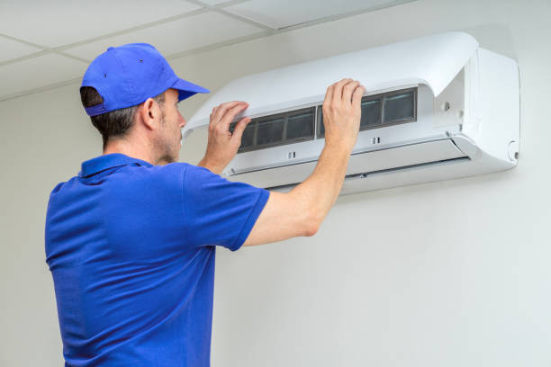 Best Air Duct Mold Removal  in Liberty, IN