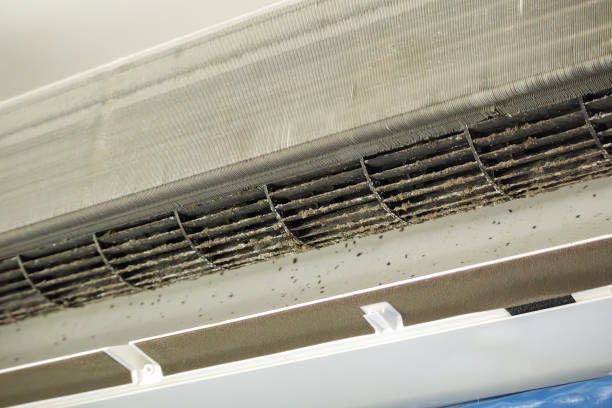 Best Air Duct Cleaning Near Me  in Liberty, IN